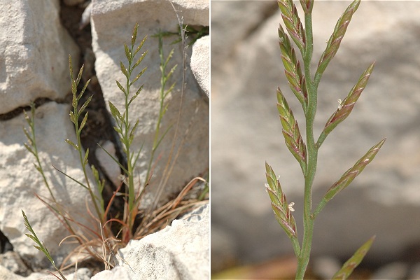 Le Rove (Bouches-du-Rh�ne), 29 avril 2007