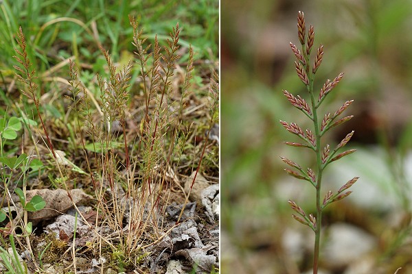 Anteuil (Doubs), 19 juin 2012