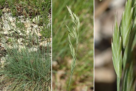 Siccieu (Is�re), 7 mai 2008