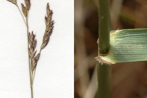 Montenois (Doubs), juin 1997 / Montenois (Doubs), 14 juillet 2009