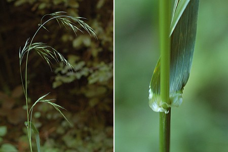 Blussans (Doubs), 7 juillet 2007