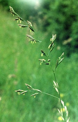 Montenois (Doubs), 3 juin 1992