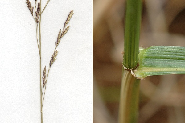 Montenois (Doubs), 3 juin 1992 / Montenois (Doubs), 14 juillet 2009