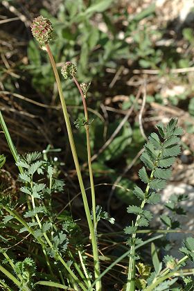 Villars-sous-Ecot (Doubs), 22 avril 2007