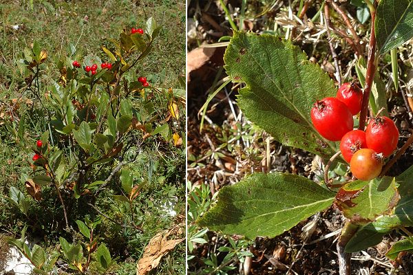 Lelex (Ain), 21 ao�t 2011