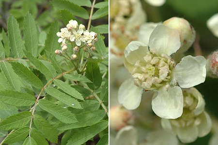 Aubagne (Bouches-du-Rh�ne), 28 avril 2008