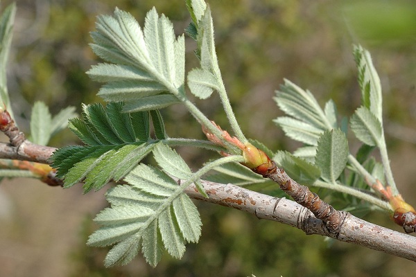 Le Rove (Bouches-du-Rh�ne), 28 avril 2007