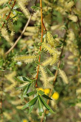 Appenans (Doubs), 15 avril 2007