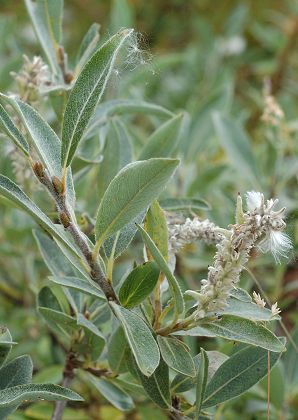 Emosson  (Suisse), 15 septembre 2014