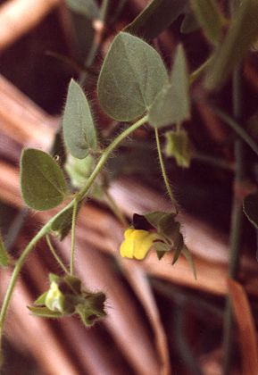 Montenois (Doubs), 26 août 1990