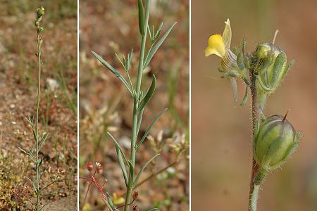 Héricourt (Haute-Saône), 17 mai 2005