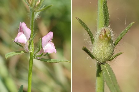 Cavalaire (Var), 28 et 29 avril 2006