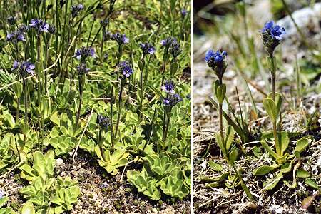 Plan d'Amont (Savoie), 14 juillet 1992 / Voralberg (Autriche), 8 juillet 2002