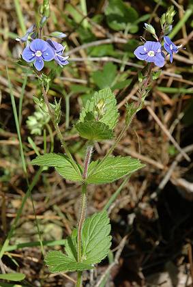 Montenois (Doubs), 19 mai 2005