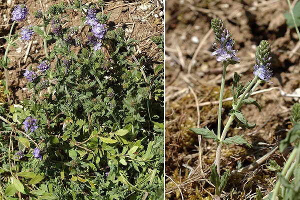 Villars-sous-Ecot (Doubs), 22 avril 2007