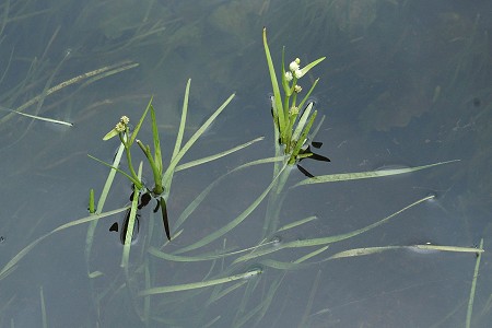 Bellefontaine (Jura), 1 juillet 2007