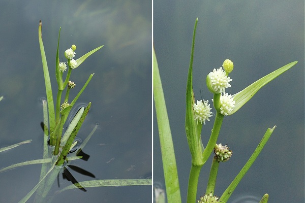 Bellefontaine (Jura), 1 juillet 2007