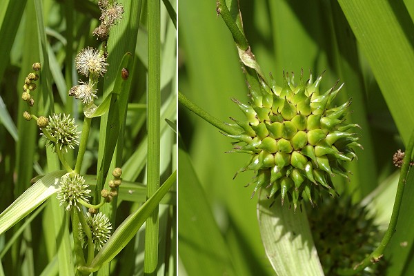 Le Vernoy (Doubs), 9 août 2006