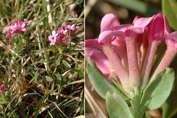 Loulle (Jura), 22 avril 2011