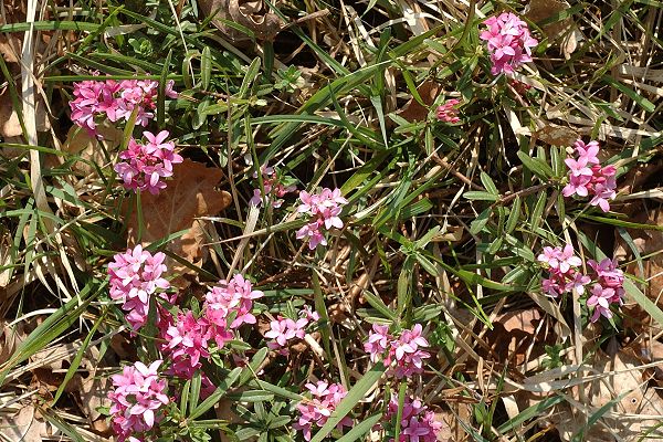 Loulle (Jura), 22 avril 2011