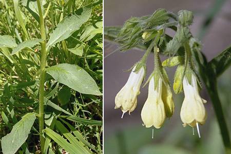 Escala (Hautes-Pyr�n�es), 23 avril 2004