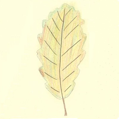 Crayon de couleur et encre de Chine