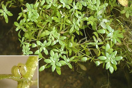 Lougres (Doubs), 7 septembre 2005