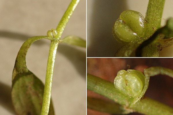 Lougres (Doubs), 7 septembre 2005